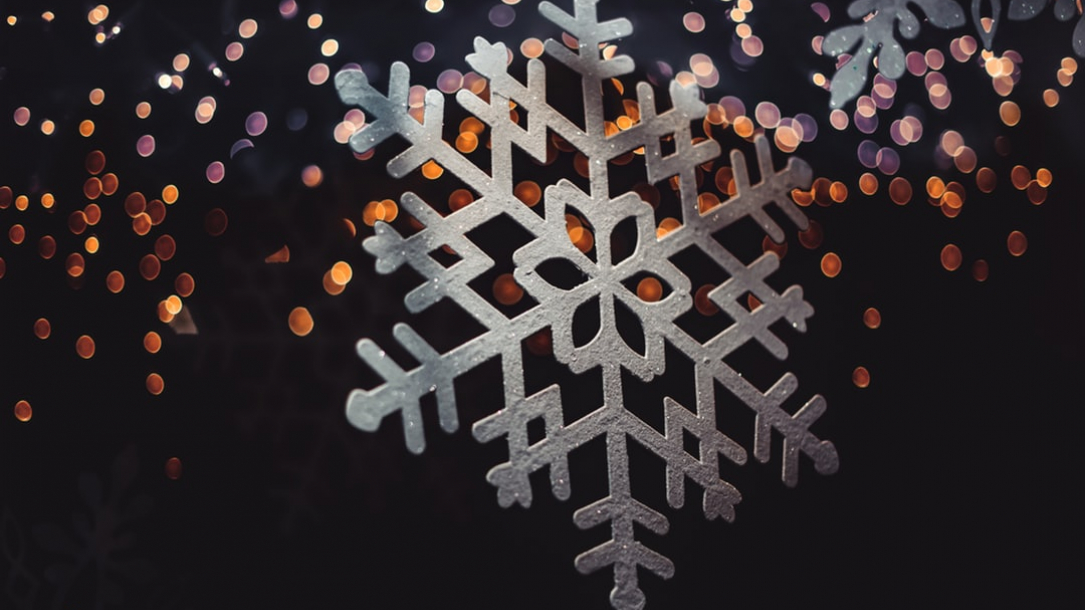 vI6lH8neX-w.jpg